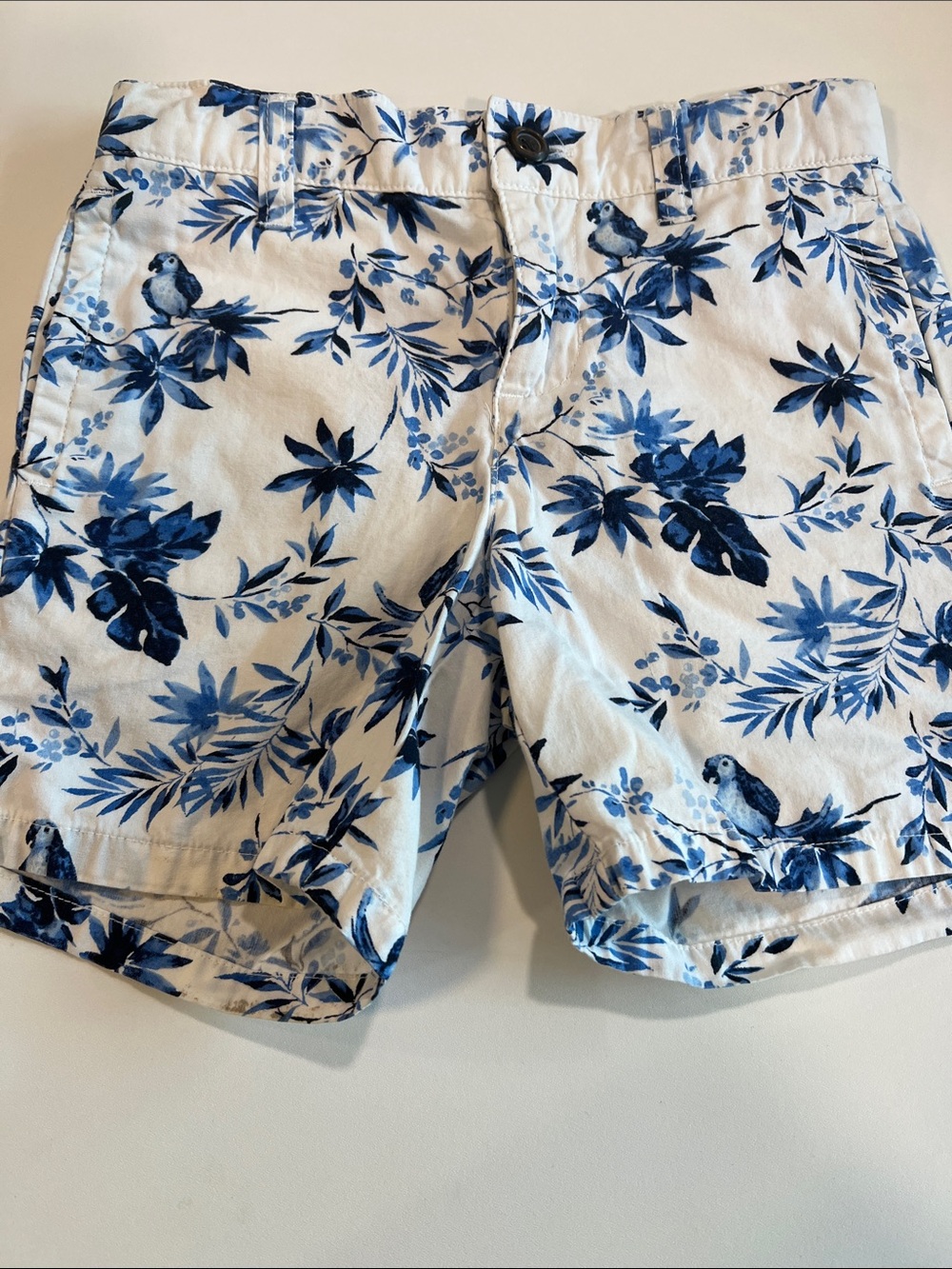 Janie and Jack White Shorts with Blue Floral Print, 4T